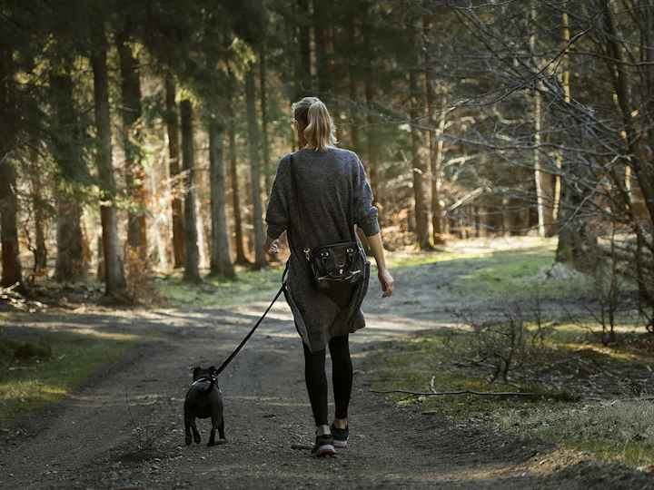 Frau geht mit einem Hund an der Leine durch einen Wald